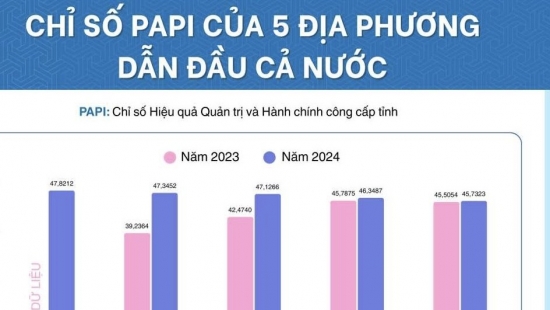 quang ninh dan dau toan quoc ve chi so papi nam 2024