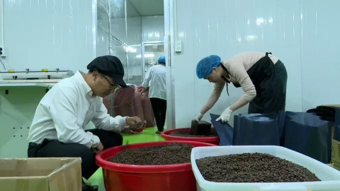 Cà phê đặc sản Gia Lai