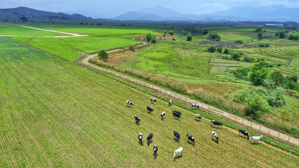 Những lợi thế kinh tế của tỉnh Long An và Tây Ninh