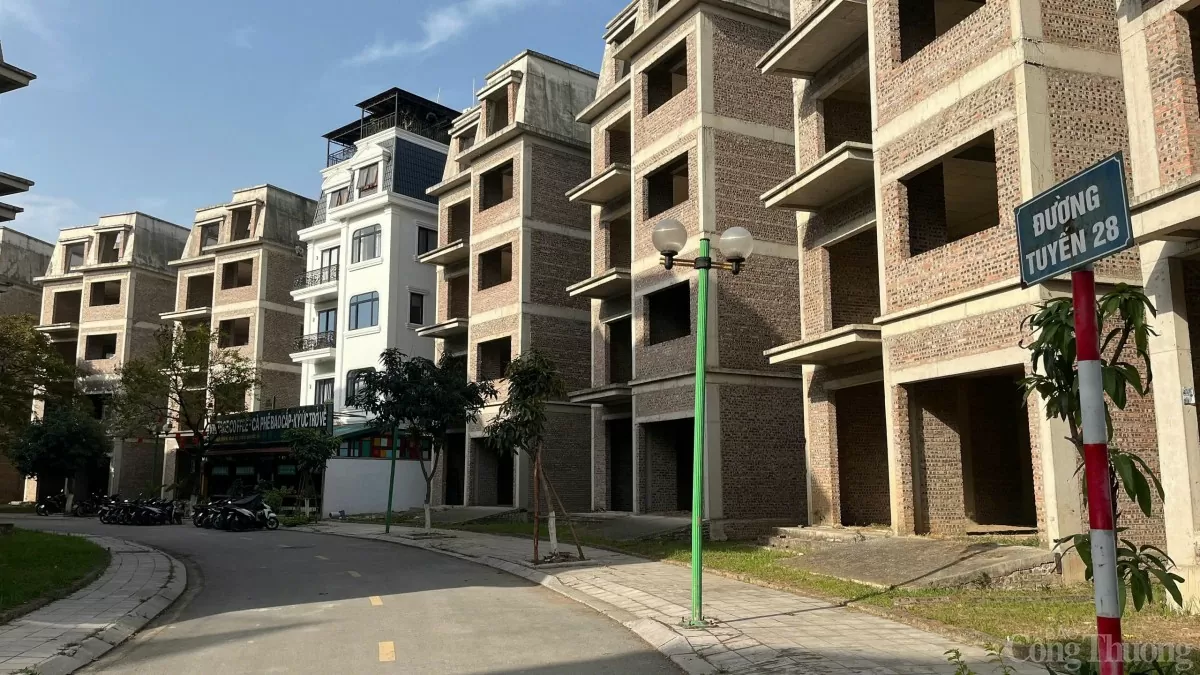 Loạt biệt thự bỏ hoang ở ngoại thành Hà Nội