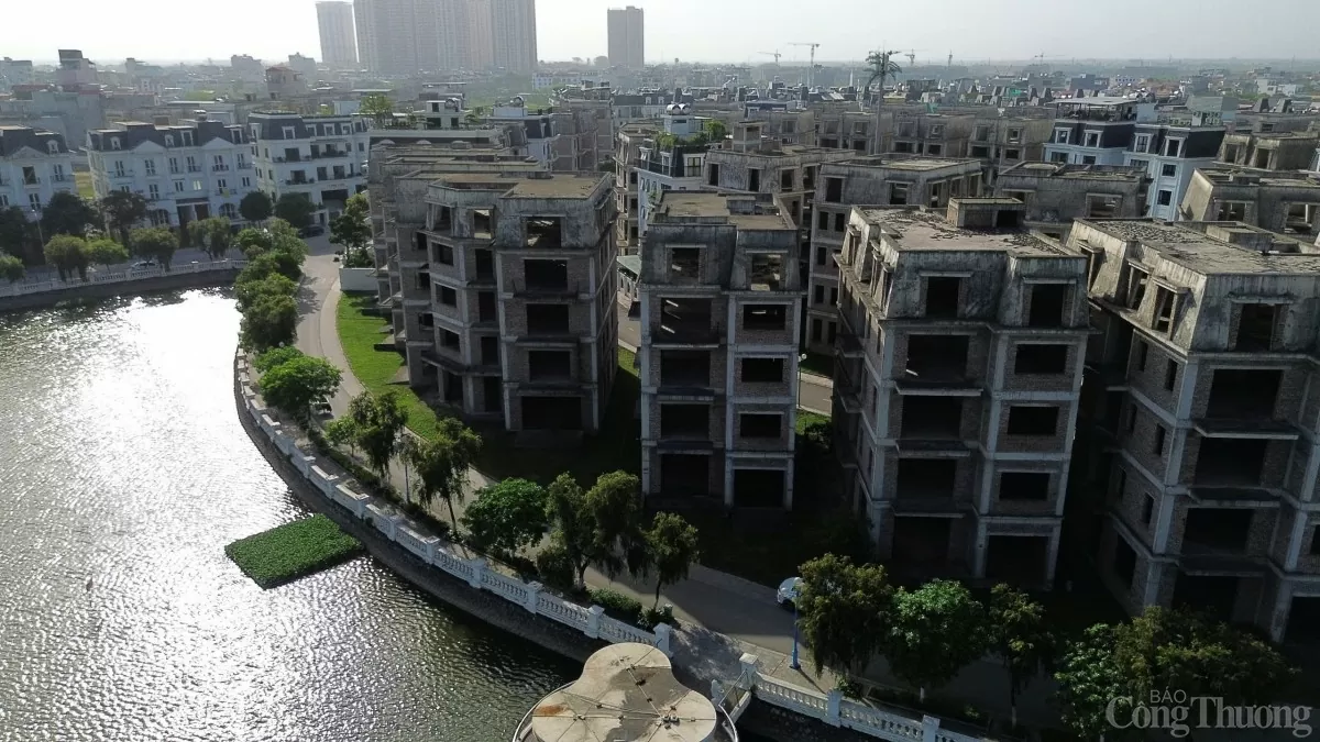 Loạt biệt thự bỏ hoang ở ngoại thành Hà Nội