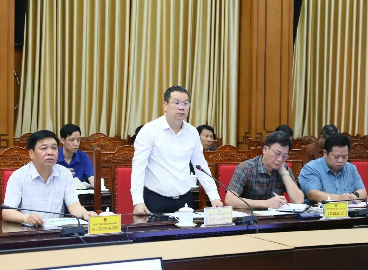 Ông Nguyễn Mạnh Hùng, Chủ tịch UBND tỉnh Thái Bình phát biểu tại buổi làm việc.