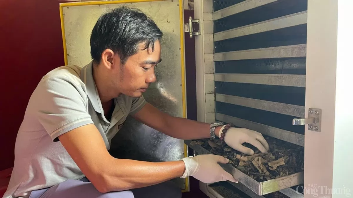 Sản phẩm OCOP địa phương mang khát vọng vươn ra thế giới