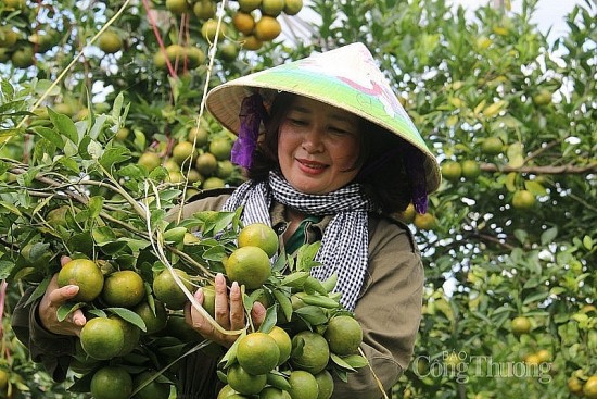 dak nong day manh ket noi mo rong dau ra cho san pham ocop