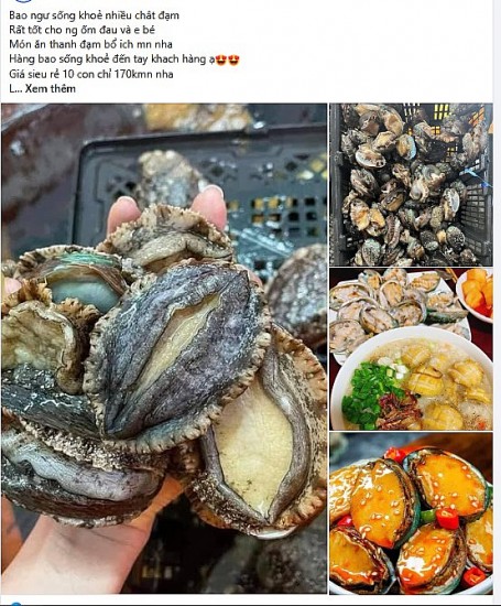 tp ho chi minh thuc pham quy toc nay re bat ngo ban day cho mang