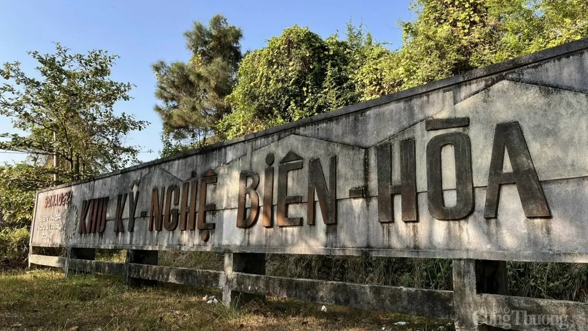 Đồng Nai: Bien Hoa Consumer bị phạt nặng, buộc di dời nhà máy