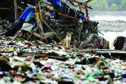 Việt Nam đang phải đối mặt với nhiều thách thức trong việc kiểm soát nguồn phát thải và rác thải. Ảnh minh họa