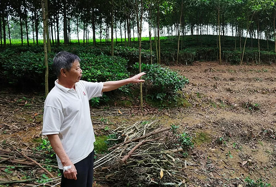 Đường dây 500kV Lào Cai – Vĩnh Yên. Bài 2: Chung sức gỡ nút thắt mặt bằng