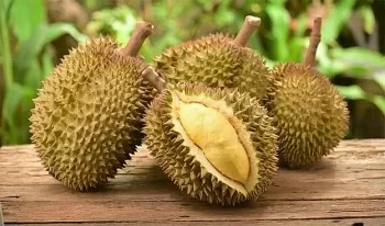 Xuất khẩu sầu riêng: Gắn với vùng trồng an toàn