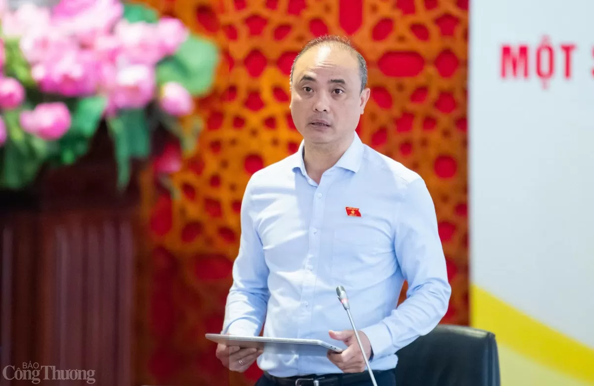 Thẩm tra sơ bộ Luật Sử dụng năng lượng tiết kiệm và