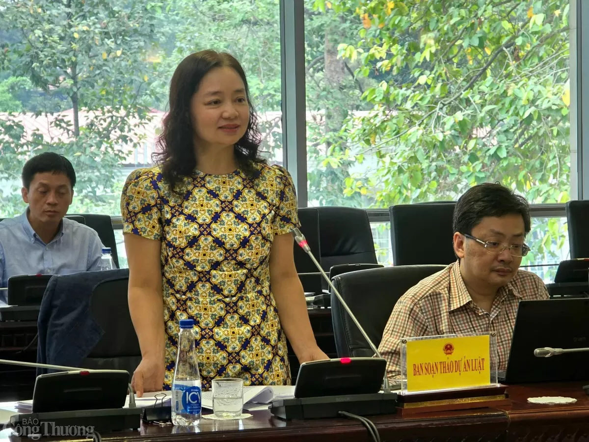 Thẩm tra sơ bộ Luật Sử dụng năng lượng tiết kiệm và