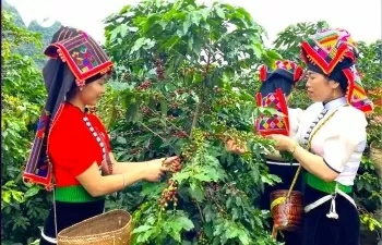 Tiếp sức xây dựng thương hiệu sản phẩm khu vực dân tộc miền núi