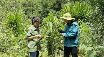Cán bộ trẻ vượt qua thử thách, tiên phong đổi mới nông thôn