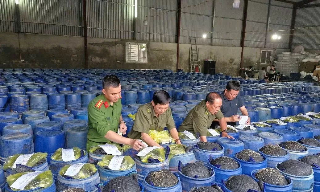giá đỗ ngâm hóa chất