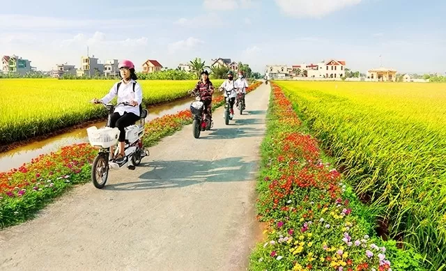 Theo thống kê của Bộ Nội vụ, số lượng cán bộ trẻ về xã trong giai đoạn 2020–2024 tăng trung bình 8% mỗi năm. Ảnh minh họa