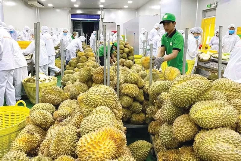 Thương hiệu quốc gia Việt Nam: Tự hào và khát vọng