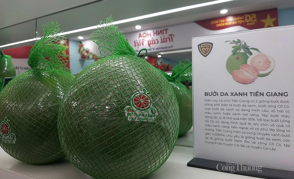 Bưởi da xanh Tiền Giang có mặt tại không gian trưng bày