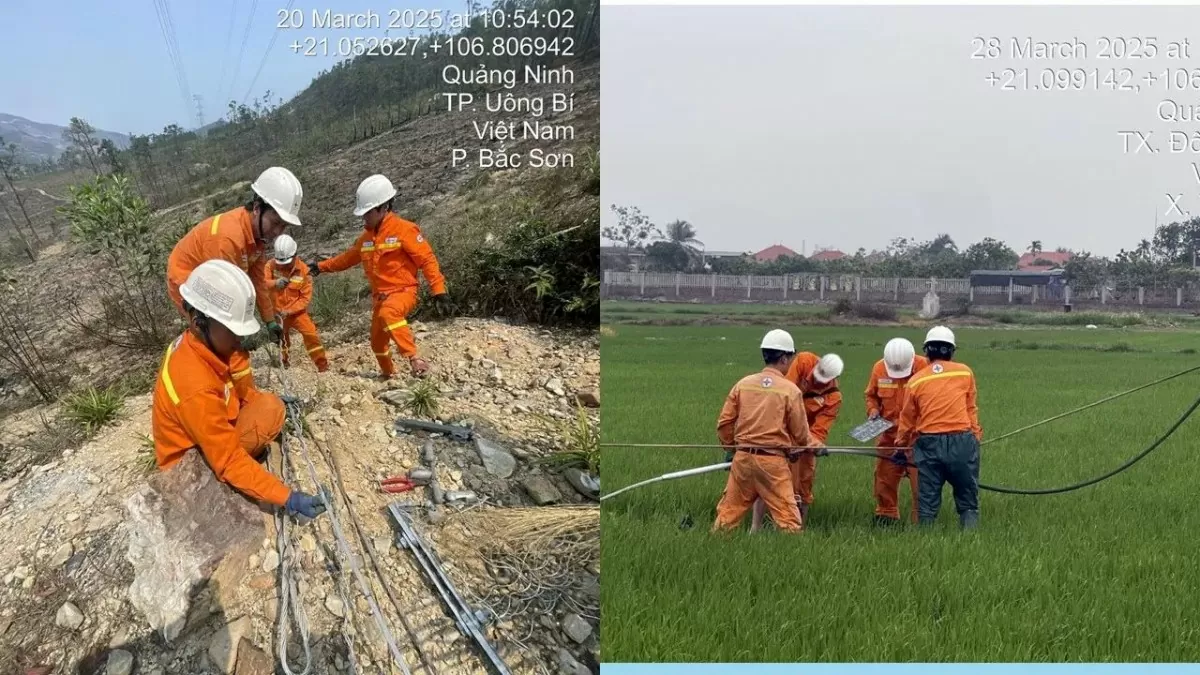 Hoàn thành sửa chữa đường dây 500kV Thăng Long – Quảng Ninh
