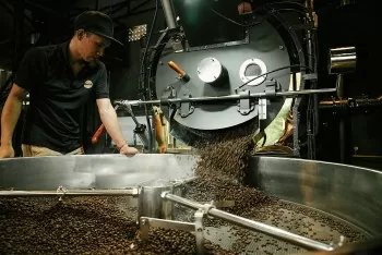 Dự báo giá cà phê ngày mai 25/4/2025, trong nước đà tăng