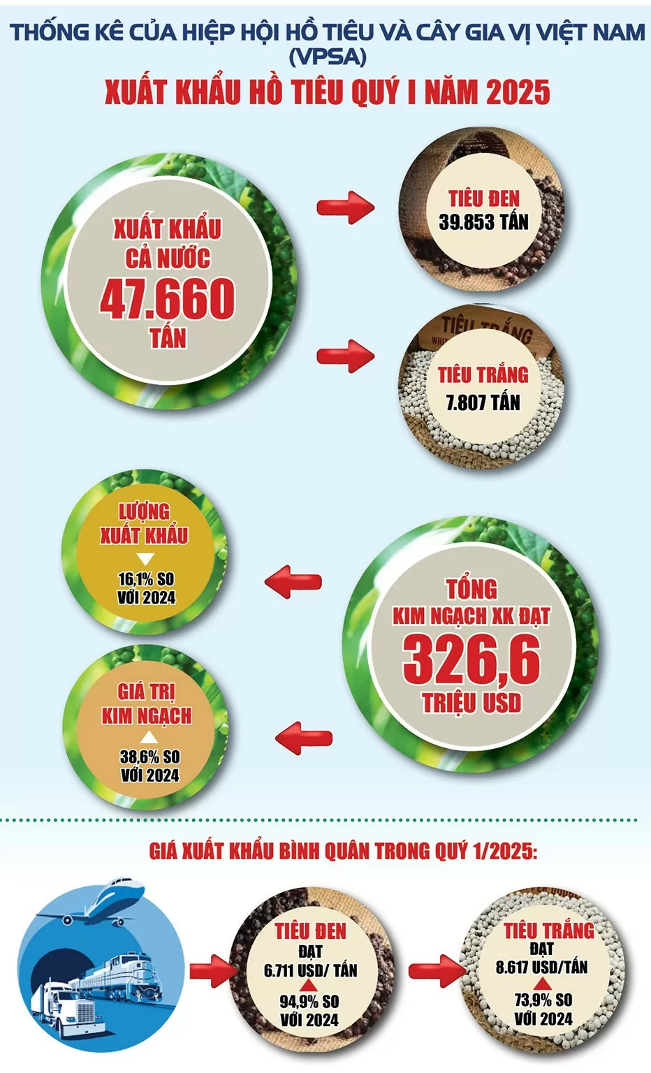 Infographic |Xuất khẩu hồ tiêu cả nước quý 1/2025 tăng trưởng mạnh