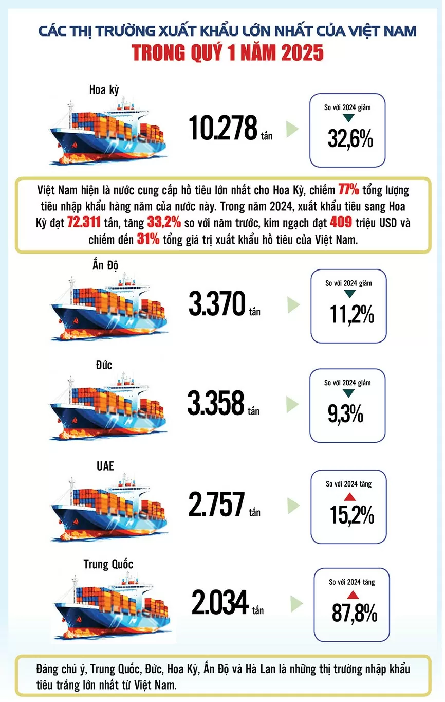 Infographic |Xuất khẩu hồ tiêu cả nước quý 1/2025 tăng trưởng mạnh