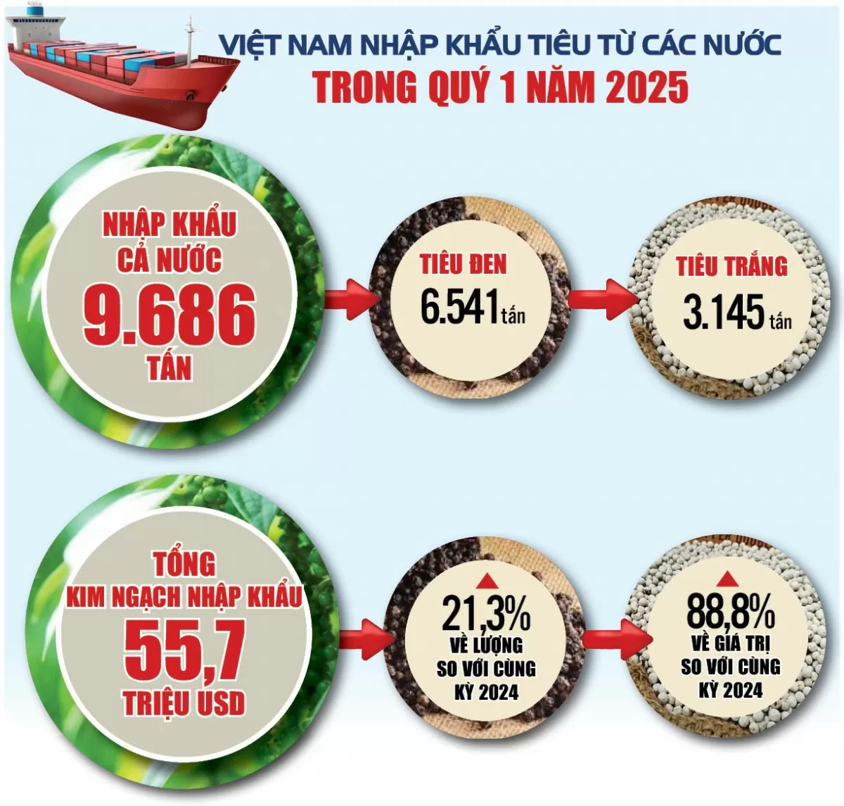 Infographic |Xuất khẩu hồ tiêu cả nước quý 1/2025 tăng trưởng mạnh