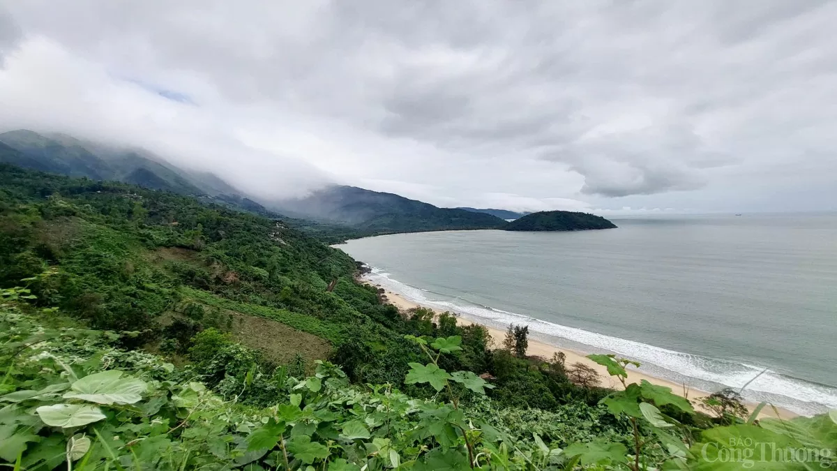 Bí thư Đà Nẵng: Xây 5 đảo nổi tại Vịnh Đà Nẵng