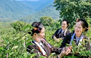 Sáp nhập Vĩnh Phúc, Phú Thọ, Hòa Bình: Bài cuối- Gắn kết bản sắc, khơi dậy lòng dân