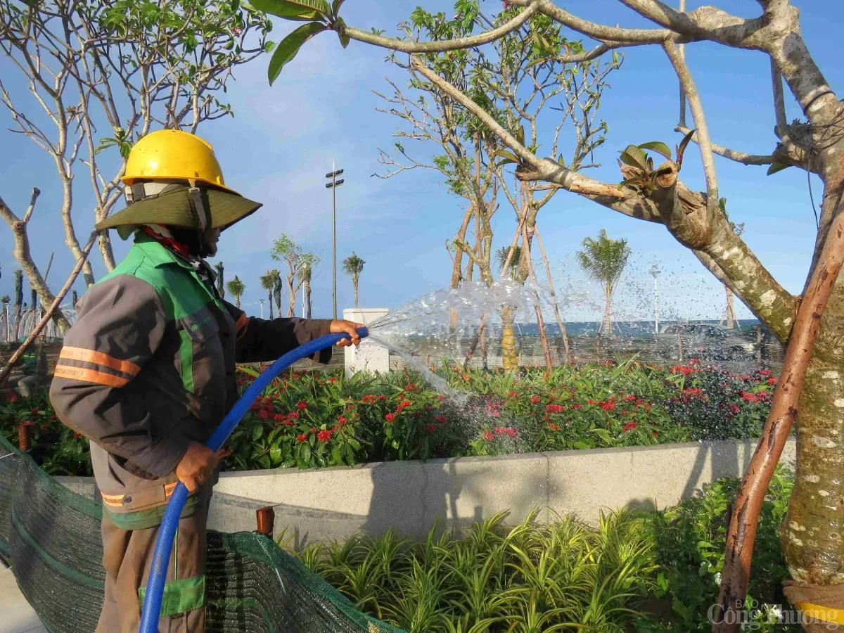 Bãi Sau Vũng Tàu ‘chạy nước rút’ đón khách dịp lễ 30/4-1/5