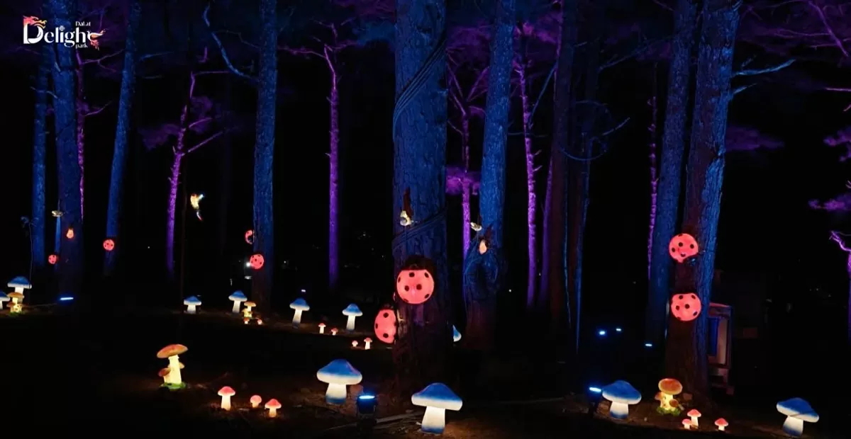 Delight Park Đà Lạt: Không gian trải nghiệm độc đáo tại Thành phố ngàn hoa