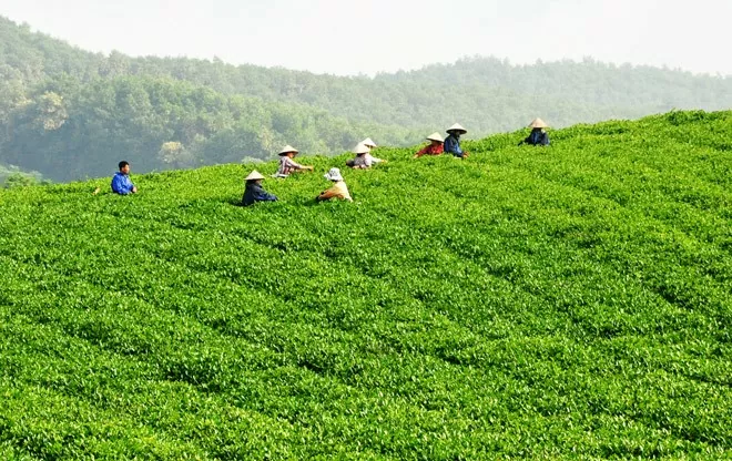Thời tiết hôm nay 4/5: Tây Bắc Bộ có mưa đá