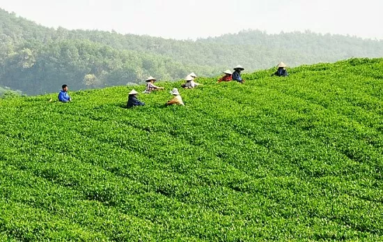 Thời tiết hôm nay 4/5: Tây Bắc Bộ có mưa đá