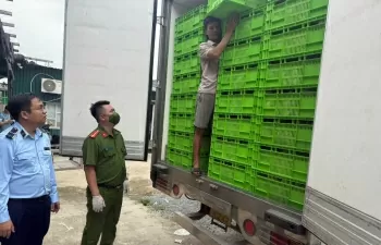 Hà Nội tạm giữ hơn 18 tấn gà đông lạnh không rõ nguồn gốc