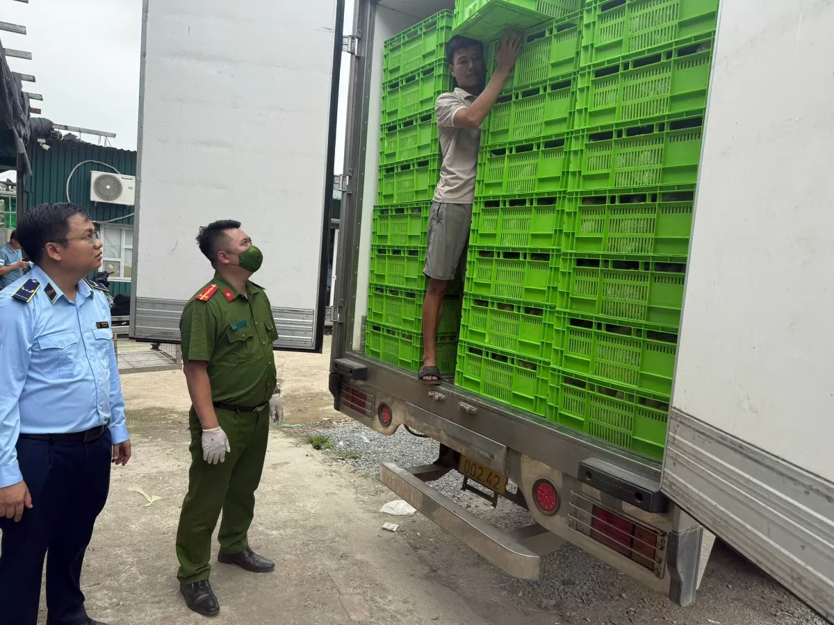 Hà Nội tạm giữ hơn 18 tấn gà đông lạnh không rõ nguồn gốc