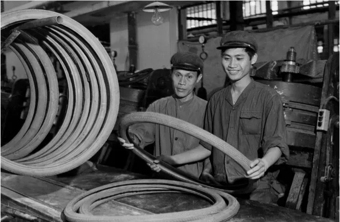 Những chiếc lốp xe đạp vừa được tháo ra từ khuôn hấp của dây chuyền sản xuất mới của Nhà máy Cao su Sao Vàng Hà Nội tháng 10/1974