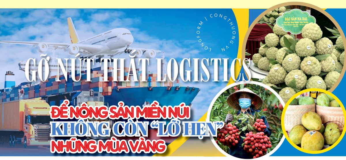 Longform | Để nông sản miền núi không còn ‘lỡ hẹn’ những mùa vàng