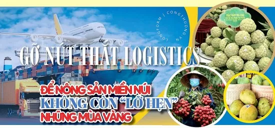 Longform | Để nông sản miền núi không còn ‘lỡ hẹn’ những mùa vàng