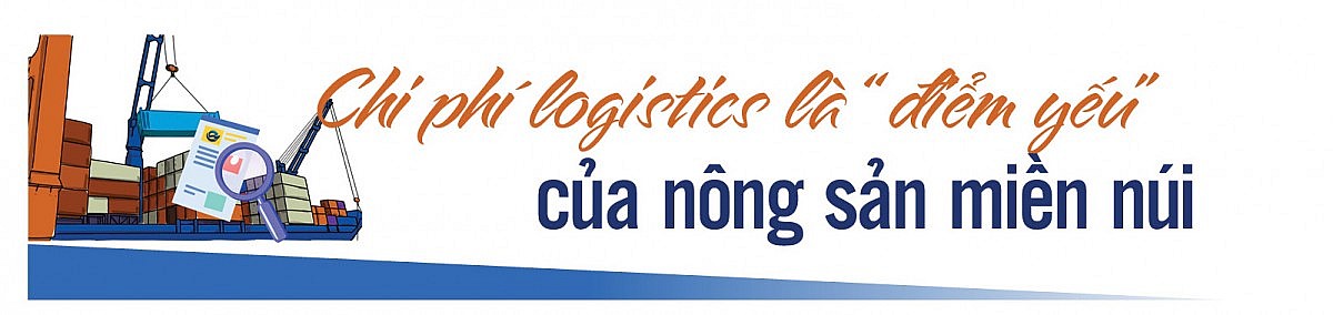 Longform | Để nông sản miền núi không còn ‘lỡ hẹn’ những mùa vàng
