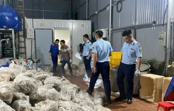 Hà Nội: Tạm giữ gần 11 tấn thịt và nội tạng bò đông lạnh