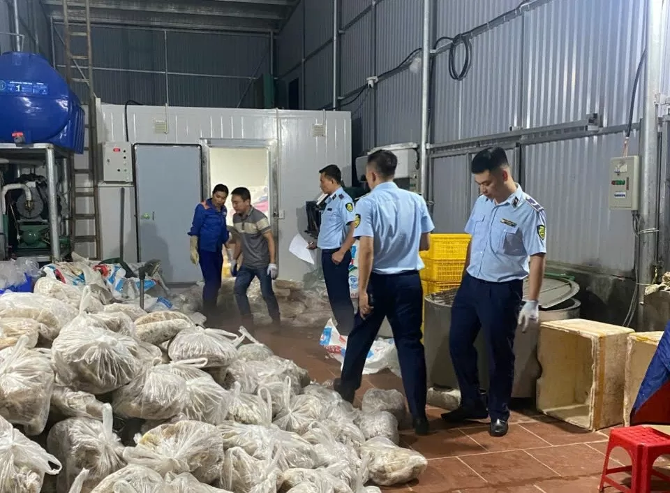 Hà Nội: Tạm giữ gần 11 tấn thịt, nội tạng bò khôngrõnguồngốc