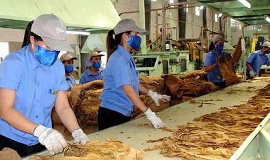 quy dinh han ngach nhap khau thuoc la nguyen lieu nam 2025