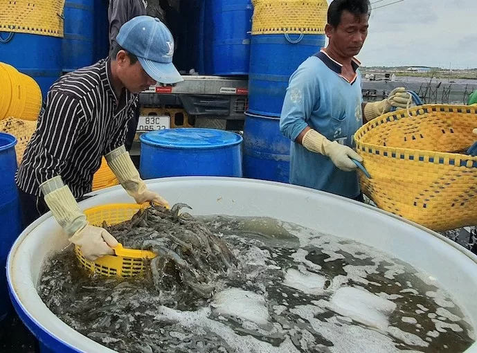 Tin Công Thương 29/4: Kinh tế số Việt Nam tăng trưởng nhanh