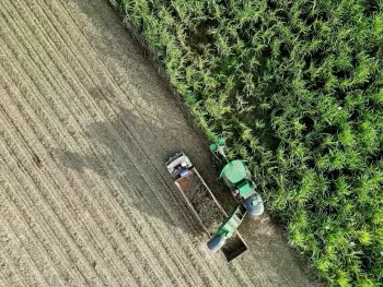 TTC AgriS giữ vững & phát triển vùng nguyên liệu, tăng cường áp dụng tiến bộ kỹ thuật, công nghệ vào canh tác mía