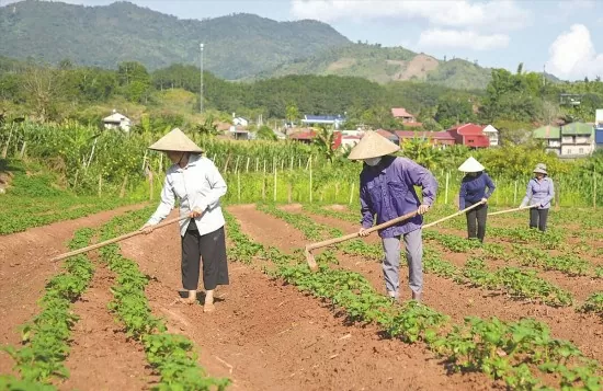 Thời tiết hôm nay 3/5: Bắc Bộ ngày nắng, đêm mưa