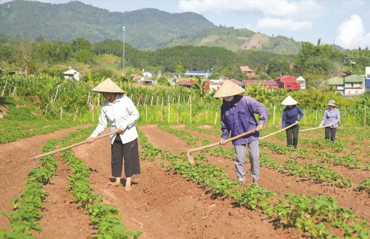 Thời tiết hôm nay 3/5: Bắc Bộ ngày nắng, đêm mưa
