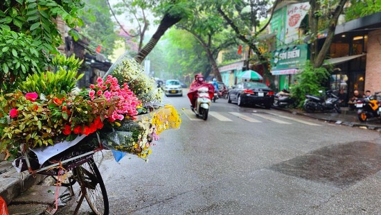 thoi tiet hom nay 304 mua rao va dong tai bac bo