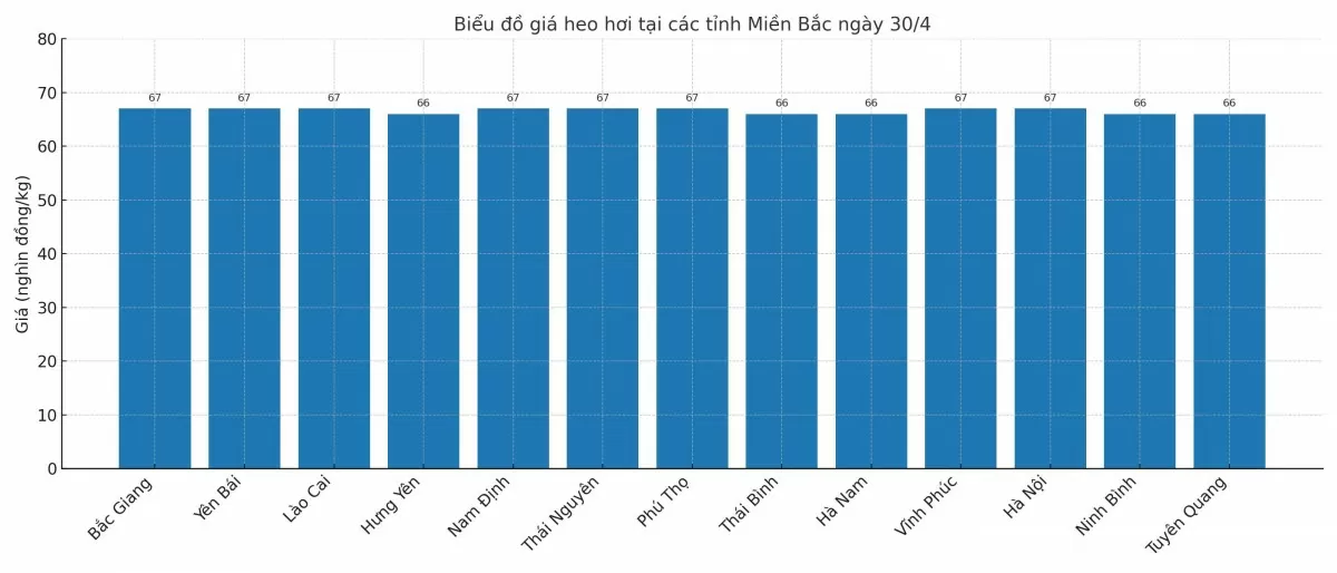 Biểu đồ giá heo hơi tại các tỉnh miền Bắc ngày 30/4.