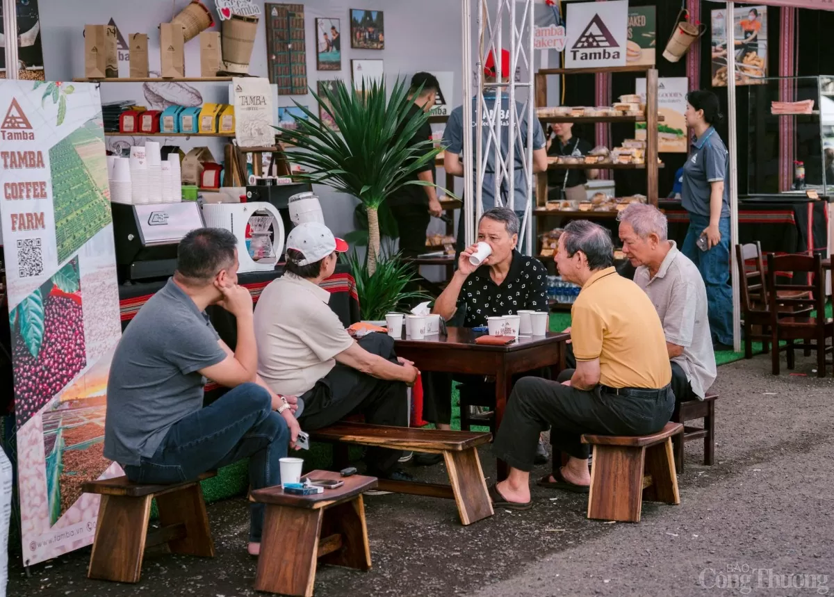Gia Lai Coffee Festival 2025: Robusta đặc sản chinh phục du khách Gia Lai Coffee Festival 2025: Robusta đặc sản chinh phục du khách