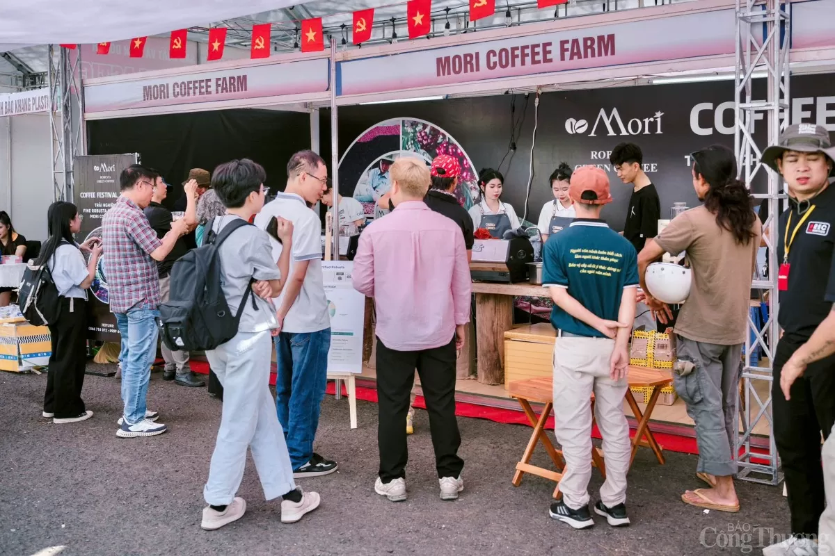 Gia Lai Coffee Festival 2025: Robusta đặc sản chinh phục du khách Gia Lai Coffee Festival 2025: Robusta đặc sản chinh phục du khách