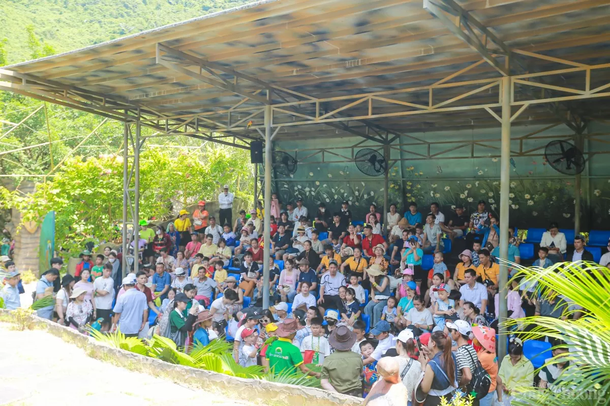 Lễ 30/4 - 1/5: ‘Chen chân’ du lịch Đà Nẵng, Hội An